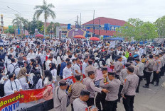 Tuntut Jadi PPPK Penuh Waktu, Honorer R2 dan R3 yang Dirumahkan Mengaku Diancam