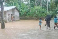 Sanitasi Tak Memadai Penyebab Banjir, Dusun Raja Butuh Perhatian 
