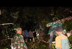 Meski Terhalang Pohon Tumbang, Arus Balik Logistik Lebong Tandai Dipastikan Aman