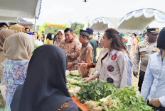 Elisa Ermasari dan Pemkab Mukomuko Perkuat Ketahanan Pangan