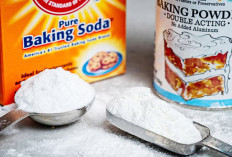 Memahami Perbedaan Baking Soda dan Baking Powder Agar Tak Salah Pilih