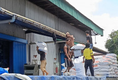 700 Ton di Gudang, Bulog Siap Salur Bapang 577 Ton