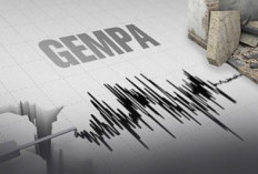 10 Fakta Gempa Bawean 6,5 SR dan 5 Patahan Aktif di Provinsi Bengkulu 