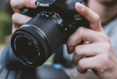 Fotografer Pemula Merapat! Inilah Beberapa Tips Menggunakan Kamera DSLR bagi Pemula, Perhatikan..