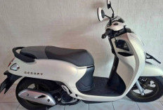 Skutik Retro Ikonik Honda Scoopy 2025 Kini Tampil Lebih Canggih dan Fashionable!