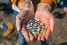 Waspadai, Ternyata Sederet Makanan Ini Paling Banyak Terkontaminasi Mikroplastik, Apa Aja? 