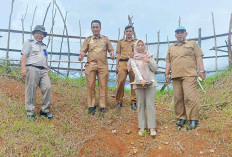 Dinsos dan BPN BU Survei Lahan Calon Lokasi Sekolah Rakyat di KTM Lagita