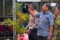 Cek Pelayanan Samsat