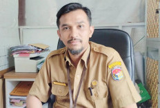 Ribuan Honorer di Mukomuko Menanti Kepastian, 200 Data PPPK Masih Dibetulkan