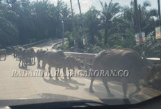 Tertib Administrasi Transaksi Kapolsek Imbau Warga dan Pedagang 