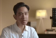 Ditengah Perang Tarif AS : Wapres Gibran Sebut Peluang Emas Bonus Demografi