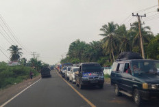 Warning! Jalan Lintas Bengkulu ke Pondok Kelapa Macet, Antrean Kendaraan Hingga Lebih 1 Jam