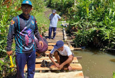 Dinas PUPR Respon Cepat Bantu Warga Koto Jaya Perbaiki Jembatan Menuju Lapangan Bola Kaki