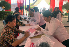 14 Peserta Selkom PPPK Dinyatakan Gugur