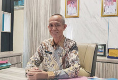 Nasib Honorer Non-Database Masih Abu-abu, Tunggu Jawaban Pusat