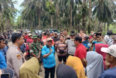 Mediasi Antara PT Agricinal dengan Masyarakat Masih Buntu, Blokade Jalan Belum Dibuka