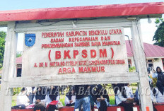 Jelang Pelantikan, Segini Gaji yang Akan Diterima oleh PPPK Paruh Waktu?