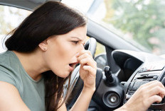 Risih Dengan Munculnya Bau Tidak Sedap! Ini Cara Menghilangkan Aroma Tidak Sedap Dari AC Mobil