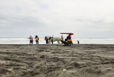 Pantai Parangkusumo, Gerbang Misterius Menuju Kerajaan Ratu Selatan