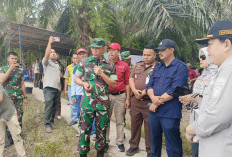 Kementan Bersama DPTHP Wujudkan Target Swasembada Pangan di Bengkulu Utara