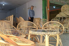 Pengrajin Rotan Bengkulu, Bahan Baku Dipasok dari Lubuk Linggau 