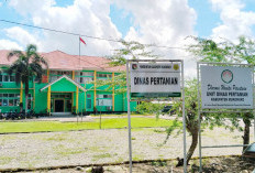 Sawah Tadah Hujan Diusulkan Pompa Air