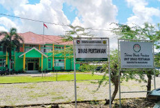 Warga Diminta Waspada, Segera Laporkan Jika Temukan Pupuk Palsu