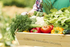 Apa Iya Makanan Organik Lebih Sehat Dari Pada Makanan Biasa, Ini Penjelasannya