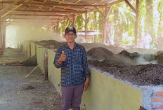 Limbah Cangkang Kelapa Sawit Jadi Arang, Produk Warga Bengkulu Utara Mulai Dilirik Investor