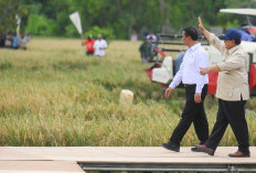 Kembalinya Kedaulatan Pangan Indonesia