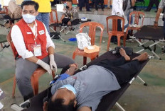 Pemdes Air Muring Donor Darah Massal, Berikut Jadwal Pelaksanaannya 