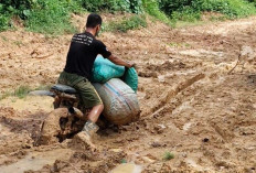 Pemdes Kirim Titik Koordinat Jalan KM 40, Dinas PU Siapkan Rencana Tahun 2026?