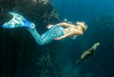 Harus Diwaspadai, Ketika Bermimpi Bertemu Ikan Duyung 