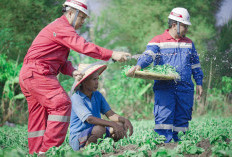 Berkat Ini, Pertamina Sumbagsel Boyong 7 Penghargaan