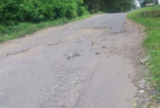 Percepat Pembangunan Infrastruktur Jalan Desa, Pemdes Berharap Dukungan Dinas Transmigrasi