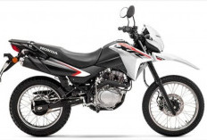 Bukan di Indonesia! Saudara Kandung CRF150L : Honda XR150L Muncul di AS
