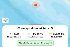Gempa 5,9 M Guncang Enggano, BMKG Pastikan Tidak Berpotensi Tsunami