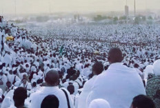 Wukuf di Arafah Adalah Puncak Ibadah Haji, Ini Dia Rangkaiannya