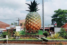 Ada Apa di Balik Tugu Nanas Subang?, Menghubungkan Arah Menuju Pantura, Bandung, dan Sumedang.