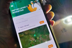 Inovasi Digital Simontana, Penjaga Kelestarian Hutan Indonesia