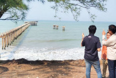 Pembangunan Pelabuhan Ketahun Masuk Tahap Land Clearing
