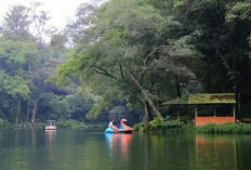 Konon Berasal dari Air Mata Pangeran Keraton Cirebon, Ini Mitos Telaga Remis di Jawa Barat