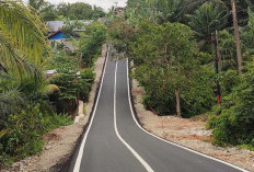 Lanjutan Pembangunan Jalan Ketahun - NP, 7 Desa Kembali Ajukan Proposal ke Gubernur