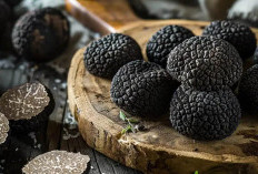 Kenali Lebih Jauh Keistimewaan Serta Cara Menikmati Black Truffle