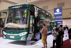 Prospek Cerah Industri Karoseri Bus Indonesia