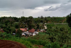 Jejak Legenda di Citanduy : Menjelajahi Misteri Desa Neglasari