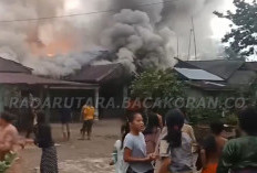Detik-detik Kebakaran Lubuk Jale, 13 Jaringan Listrik Padam