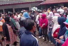 Memanas, Forum Masyarakat vs Karyawan Agricinal Bertemu di Lahan