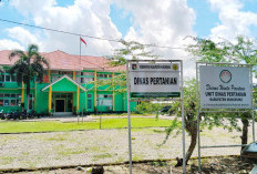 Entaskan Desa Rentan Pangan, Dinas Pertanian Perkuat Produksi dan Akses Pangan Warga