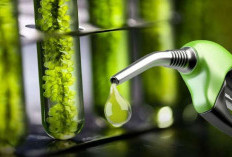 BBM E10 di Indonesia: Langkah Strategis Mempercepat Transisi Energi